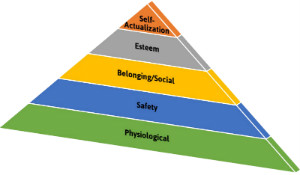 MaslowsHierarchyOfNeeds 300